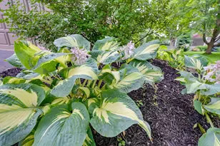 5830 Settlers Pl, Dublin, OH 43017 - Photo 37