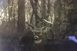 4804 Marion Rd NW, Centerburg, OH 43011 - Photo 55