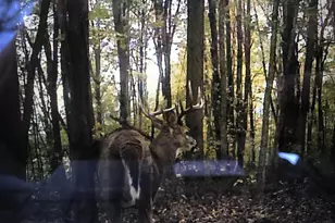 4804 Marion Rd NW, Centerburg, OH 43011 - Photo 59