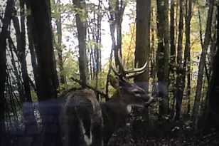 4804 Marion Rd NW, Centerburg, OH 43011 - Photo 57