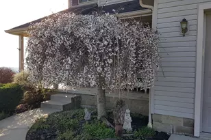 26067 Buena Vista Rd, Rockbridge, OH 43149 - Photo 71