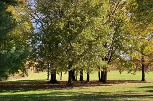 956 N State Route 61, Sunbury, OH 43074 - Photo 67