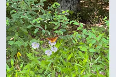 16487 Flint Ridge Rd Street NE #(Lot L Woods Flint Ridge), Newark, OH 43055 - Photo 35