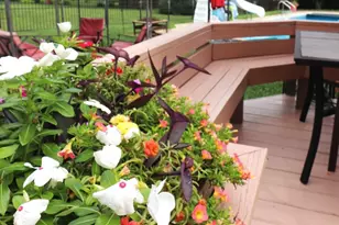 6430 Rossmore Ln, Canal Winchester, OH 43110 - Photo 65