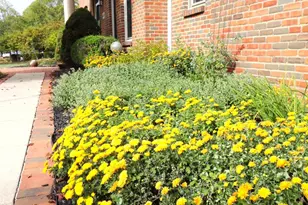 6430 Rossmore Ln, Canal Winchester, OH 43110 - Photo 81