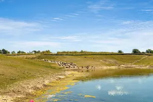 923 Sherwood Loop, Bellefontaine, OH 43311 - Photo 37