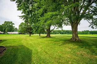 2843 S Caledonia-Ashley Rd, Cardington, OH 43315 - Photo 3