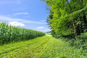 12627 Upper Gilchrist Rd, Mount Vernon, OH 43050 - Photo 17