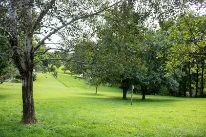 61691 Wintergreen Road, Lore City, OH 43755 - Photo 41