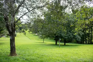 61691 Wintergreen Rd, Lore City, OH 43755 - Photo 41