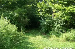 0 Owens Road E, Marion, OH 43302 - Photo 1