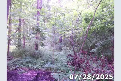 0 Owens Road E, Marion, OH 43302 - Photo 3