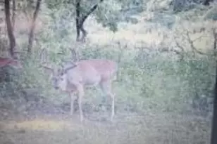 [Address not provided], Newark, OH 43055 - Photo 43