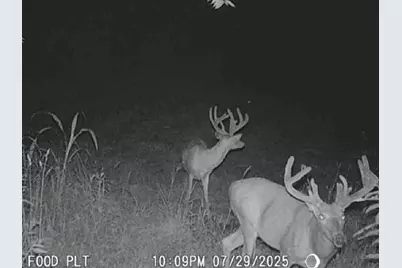 0 Potts Hill Road, Bainbridge, OH 45612 - Photo 13