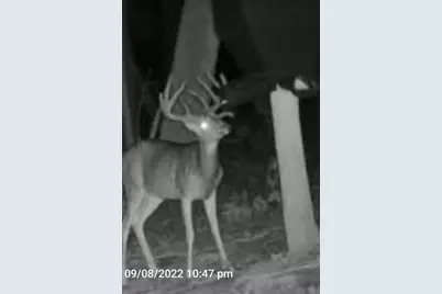 0 Potts Hill Rd, Bainbridge, OH 45612 - Photo 23