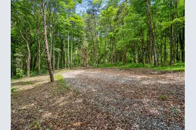 0 Potts Hill Rd, Bainbridge, OH 45612 - Photo 5
