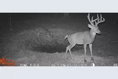 0 Potts Hill Rd, Bainbridge, OH 45612 - Photo 29