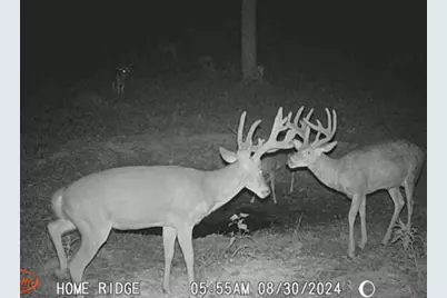 0 Potts Hill Rd, Bainbridge, OH 45612 - Photo 25