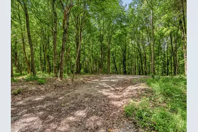 0 Potts Hill Rd, Bainbridge, OH 45612 - Photo 3