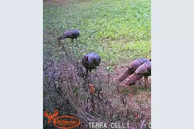 0 Potts Hill Rd, Bainbridge, OH 45612 - Photo 31