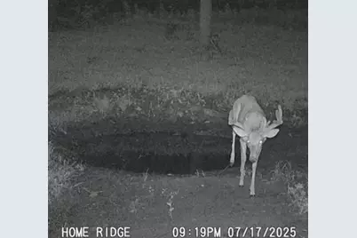 0 Potts Hill Rd, Bainbridge, OH 45612 - Photo 19