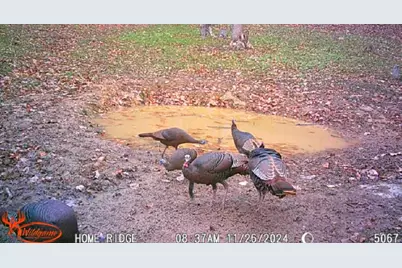 0 Potts Hill Rd, Bainbridge, OH 45612 - Photo 33