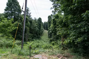 10271 Antle Orchard Rd, Glouster, OH 45732 - Photo 25