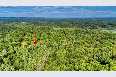 10271 Antle Orchard Road, Glouster, OH 45732 - Photo 93