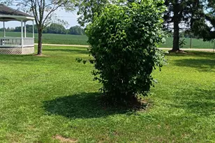 2500 Main St, Thurston, OH 43157 - Photo 9