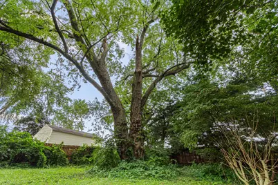 5542 Emerson Avenue, Worthington, OH 43085 - Photo 27