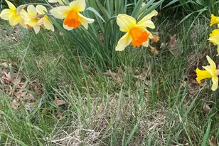 2787 Park Way Way, East Liverpool, OH 43920 - Photo 55