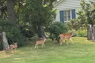 2787 Park Way Way, East Liverpool, OH 43920 - Photo 57