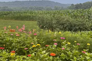 11524 US Hwy 50, Chillicothe, OH 45601 - Photo 33