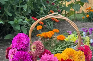 11524 US Hwy 50, Chillicothe, OH 45601 - Photo 7