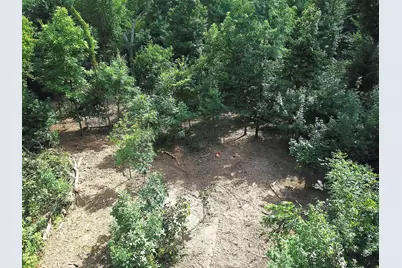 0 N Dean Road, Ostrander, OH 43061 - Photo 3