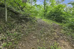 0 Greens Run Rd, Glouster, OH 45732 - Photo 81