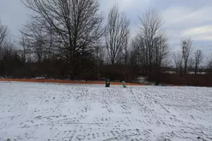 5503 Fawnsbury Ct, Powell, OH 43065 - Photo 19