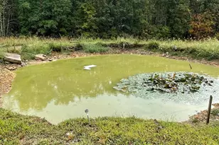 13877 Portie Flamingo Road SE, Corning, OH 43730 - Photo 11