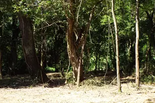 17687 Laurel Run Rd, Nelsonville, OH 45764 - Photo 13