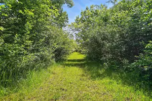 16270 Cook Yankeetown Rd NE, Mount Sterling, OH 43143 - Photo 31