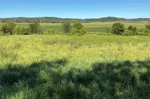 9280 Lentz Rd, Frazeysburg, OH 43822 - Photo 7