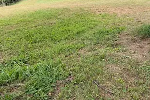 16222 Hooper Ridge Rd, Amesville, OH 45711 - Photo 13