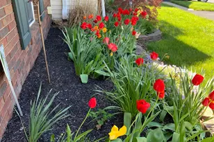 415 Retreat Ln, Marysville, OH 43040 - Photo 41