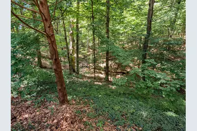 686 Co Rd 1302, Ashland, OH 44805 - Photo 91