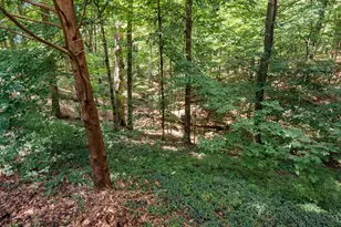 686 Co Rd 1302, Ashland, OH 44805 - Photo 91