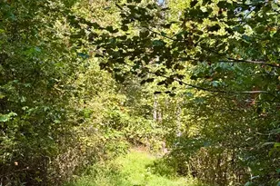 26501 Sowers Rd, McArthur, OH 45651 - Photo 27