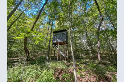 30129 Stevens Branch Road, Londonderry, OH 45647 - Photo 23