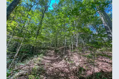 30129 Stevens Branch Road, Londonderry, OH 45647 - Photo 21