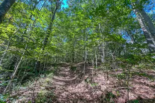 30129 Stevens Branch Rd, Londonderry, OH 45647 - Photo 21