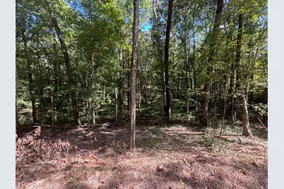 13356 Oh-374, Rockbridge, OH 43149 - Photo 9